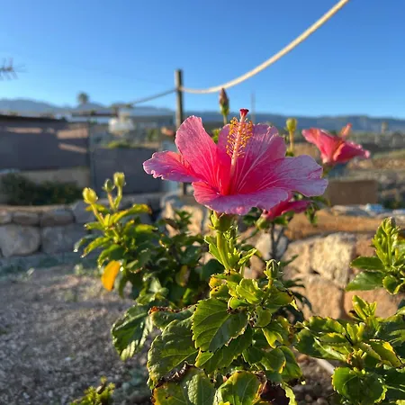 La Suerte * Chimiche