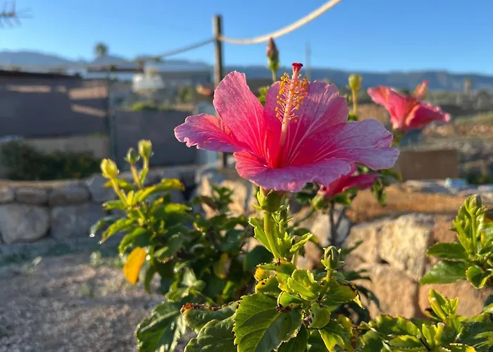 La Suerte * Chimiche